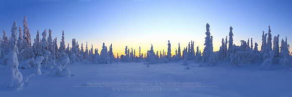 0508 - A - Swamp on the top of Varsatunturi - HD