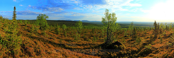 0519 - A - Early summer morning - HD