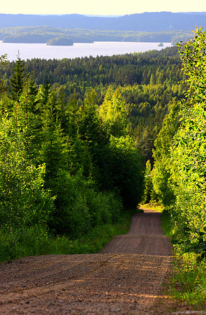 0133 - B - Highway of summer