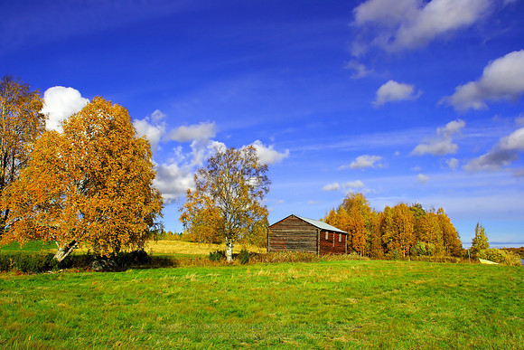 0262 - B - Barn
