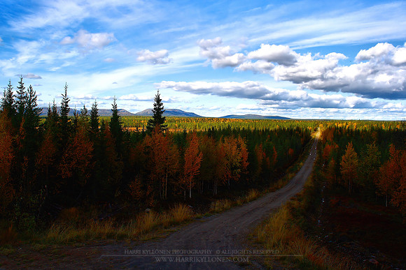 1069 - Autumn Road II