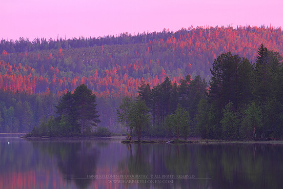 1231 - B - Mustajarvi at summer night
