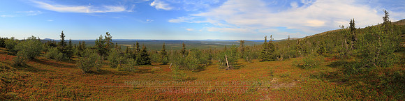 1373 - Hillside ground colours