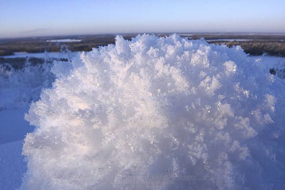 0351 - B - Frost