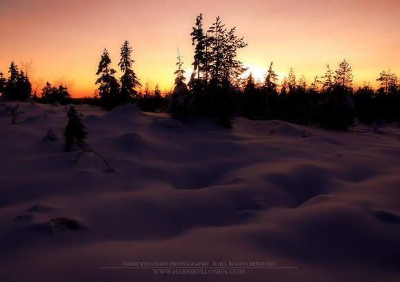 1010 - Soft cover