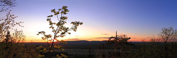 0525 - A - Glowing rowan leaves - HD
