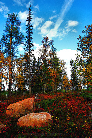 1053 - Rocks vr.2