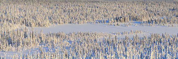 0691 - B - View from above - HD