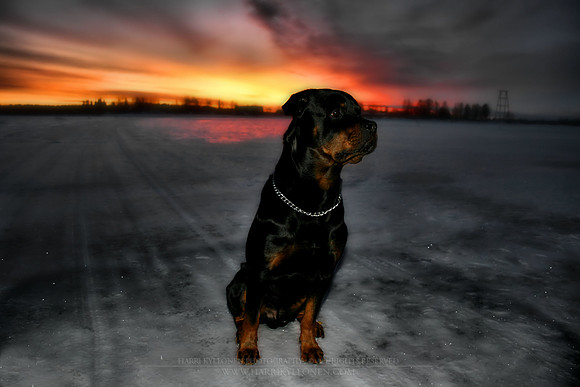 0296 - B - Sitting under sunrise