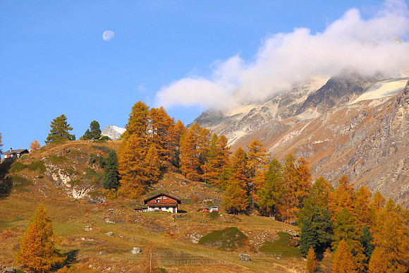 1098 - B - Mountain autumn colours