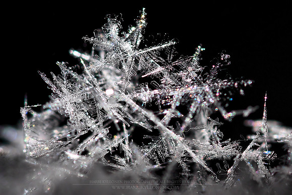 0182 - B - Snowflakes l