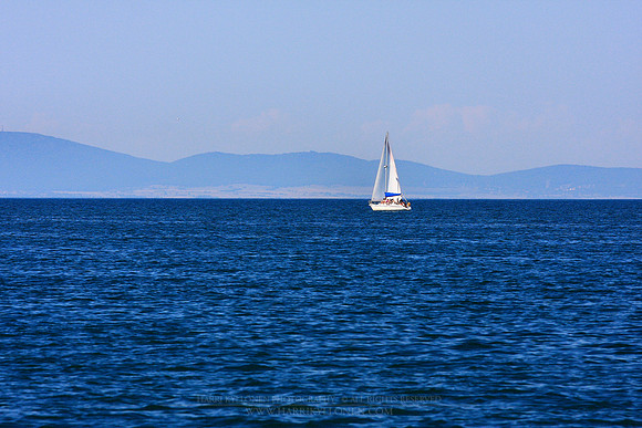 0132 - B - Sailer