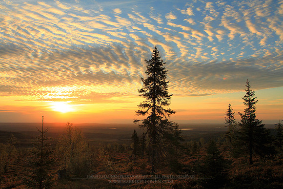 1214 - B - Sunrise view III