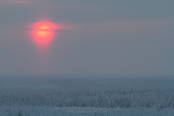 1216 - B - Red winter sun