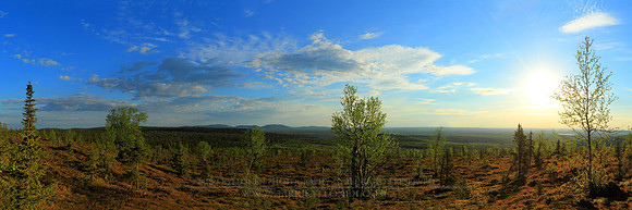 0520 - A - Early summer morning II - HD