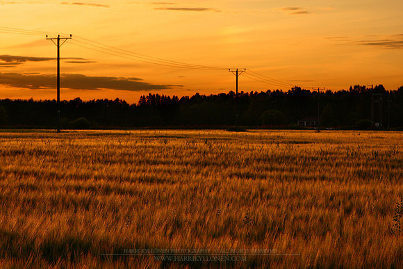 0038 - B - Powerlines