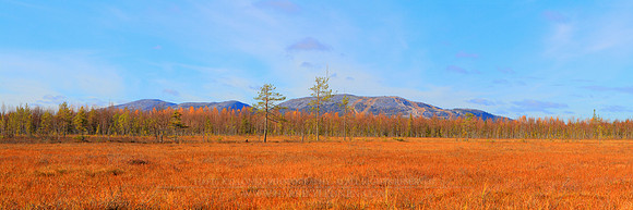0430 - A - Swamp and Pyhatunturi - HD