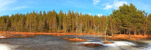 0564 - A - Swamp at spring III - HD
