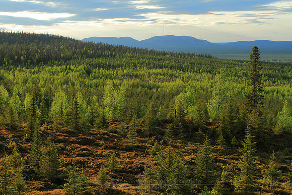 1211 - B - Outitunturi view