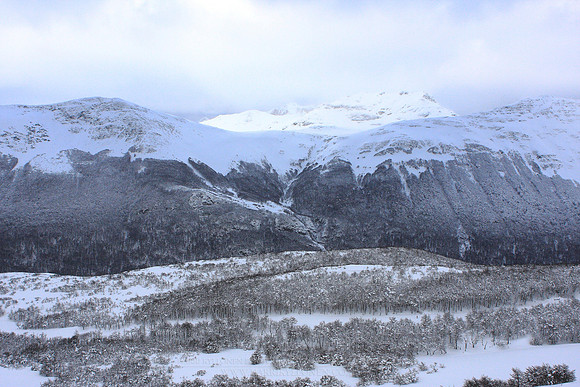 1183 - A - Martial Mountains II