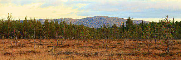 0527 - B - Iivaara at sunset - HD