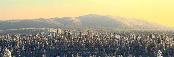 0486 - A - Iivaara in the glowing light - HD