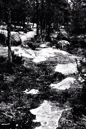 0194 - B - Unclear path